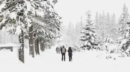 Қар жауып, бұрқасындатады: 6 қарашада ауа райы қандай болады