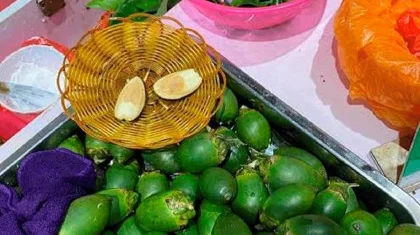 Тәуелділік пен обыр қаупі бар: Ресейде оқушылар арасында қауіпті жаңғақ трендке айналды