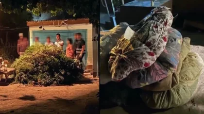 Қазақстанда бес айда ондаған тонна есірткі табылды – ҚР ІІМ