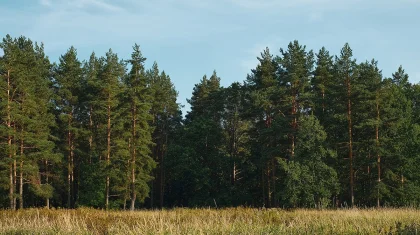 «Семей орманы» мемлекеттік резерватын танымдық туризм ретінде дамытуға болады – Берік Уәли