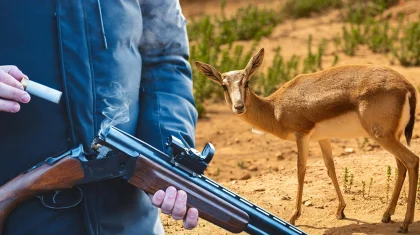 Алматы облысында Қызыл кітапқа енген қарақұйрықты атып тастаған үш адам сотталып кетті