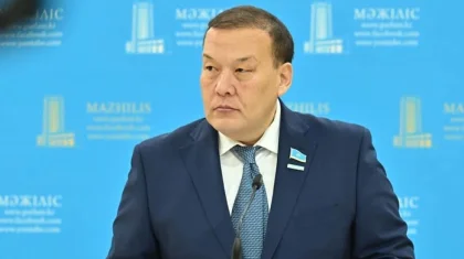 «Жүкті әйелдердің атынан 217 млн теңге ұрланған»: депутат соңғы 3 жылдағы барлық ЭЦҚ-ны тексеруді сұрады