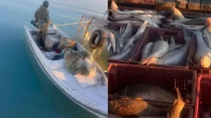 Балқашта балық аулап отырған «балықшылар» күтпеген жағдайға тап болды