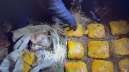 Ақмола облысында ірі көлемде синтетикалық есірткі тасып бара жатқандар ұсталды