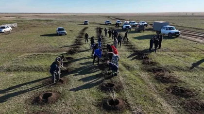 «Таза бейсенбі»: өңірлерде мыңдаған ағаш отырғызылып, ондаған тонна қоқыс жиналды