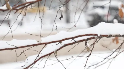 Жұма күнге арналған ауа райы болжамы жарияланды