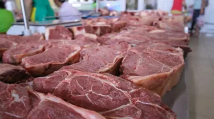 Қостанай облысында арнайы құжатсыз ет сатып жүргендердің проблемасы шешілді