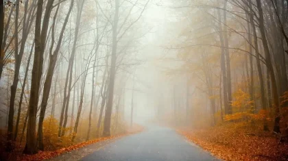 16 қарашада елімізде жауын-шашын түспейді