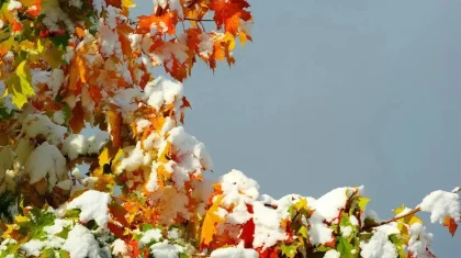 Жаңбыр, қар жауады: 17 қарашада елімізде ауа райы қандай болады