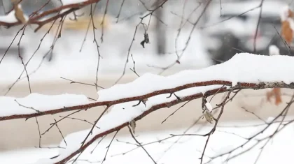 Елімізде 19 қарашада ауа райы қандай болады