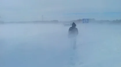 Қостанайда үш күн бұрын жоғалған шопан аман-есен табылды