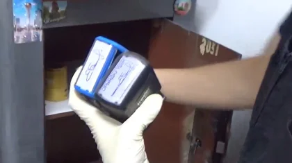 Абай облысында қаржы пирамидасын құрғандар елден 6,8 млрд теңге сыпырып алды