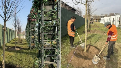 «Таза Қазақстан»: Алматының Жетісу ауданында Сейфуллин–Жансүгіров жолайырығын көгалдандыру жалғасып жатыр