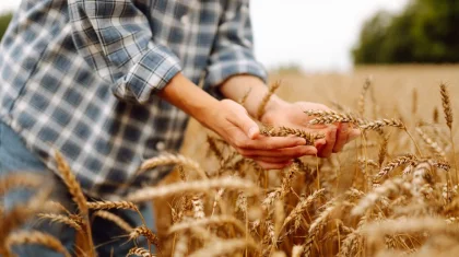 Қазақстанда шаруалардың қарыздары мен өсімпұлдары жойылатын болды
