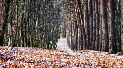 28 қарашаға арналған ауа райы болжамы жарияланды