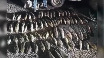 Қазақстанда 4 мыңнан астам адам браконьерлік бойынша істі болды