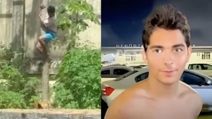 «Аяғы жерге тиместен тап берді»: зообақта жас жігітті арыстан жеп қойды