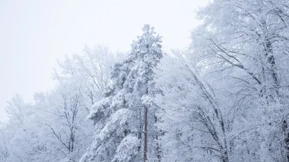 «35 градус аяз»: Қазақстанда қыстың алғашқы айында ауа райы қандай болады