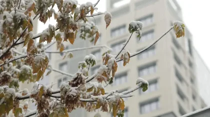 Қазақстанда 3 желтоқсанда ауа райы қандай болады