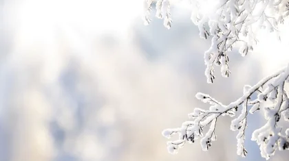 Кей өңірлерде қар, жаңбыр жауады: елімізде 4 желтоқсанда ауа райы қандай болады