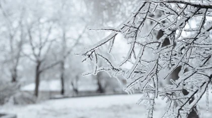 Қар, көктайғақ, бұрқасын: Қазақстанда 6 желтоқсанда ауа райы қандай болады