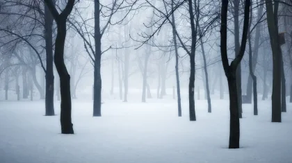 7 желтоқсан күнгі ауа райы болжамы жарияланды