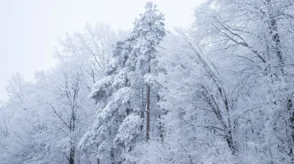 28 градус аяз болады: сейсенбіге арналған ауа райы болжамы жарияланды