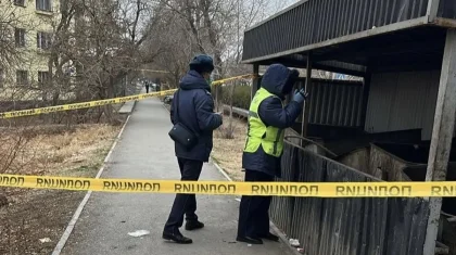 Кентауда қоқыс контейнерінен жаңа туған сәбидің денесі табылды