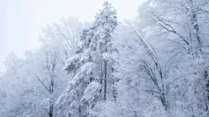 Бейсенбі күні Қазақстанда ауа райы қандай болады