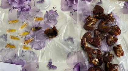 Павлодарда түрмеде жазасын өтеп жүргендерге таныстары есірткі мен бірнеше телефон бермек болған