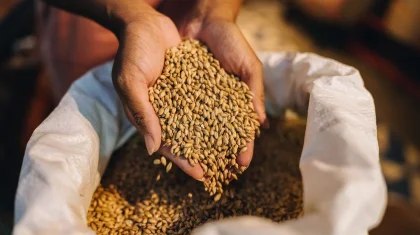 Қазақстан өткен жылы Иранға 500 мың тоннадан астам арпа экспорттады