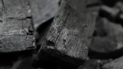 «Әбден созылып кетті»: президент «таза көмір» технологиясына тезірек көшуді тапсырды