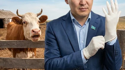 Депутат төрт түліктің аналығын асырау үшін рұқсат енгізуді ұсынды