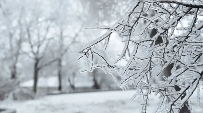 Еліміздің 14 өңірінде дабылды ескерту жарияланды