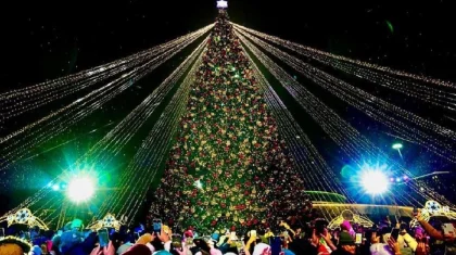 Астанада 40-тан астам жаңа жылдық шырша орнатылатын болды