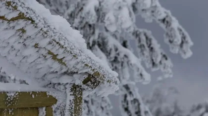 Қазақстанның бірнеше өңірінде 30-35 градус аяз болады