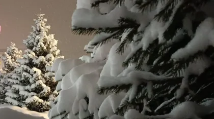 21 желтоқсанда бірқатар өңірде қалың қар жауады