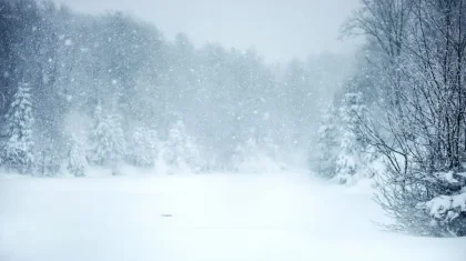Қазақстанның 16 облысында дауылды ескерту жарияланды