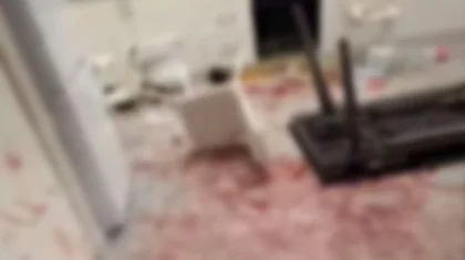 Алматыда үй иесі қып-қызыл қанға боялған пәтерін клининг шақырып, тазартпақ болған (ВИДЕО)