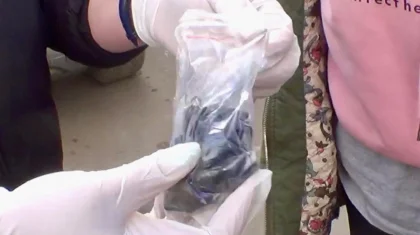 Павлодарда іш киіміне есірткі жасырып жүрген әйел адам ұсталды