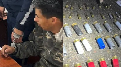 Жетісу облысында жас жігіттер екі бұзау үшін түрмеге түсетін болды (ВИДЕО)