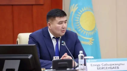 «4,5 трлн теңге жұмсалған»: депутат мемқолдау бағдарламалары нәтиже бермей отырғанын айтты