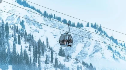 «Шымбұлақтағы» кафеде болған оқиға: Полиция департаменті мәлімдеме жасады