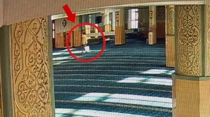 ШҚО-да әйел адам мешіттерді тонап кетіп жүрген