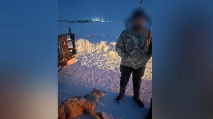 Абай облысында қасқыр атып алған жас жігіт айыппұл арқалады