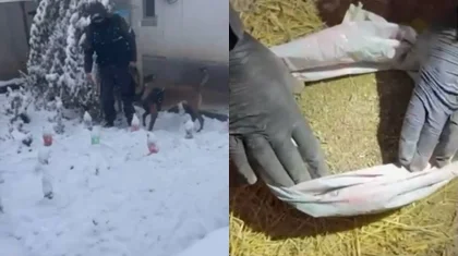 Алматыда есірткі сатумен айналысқан топ ұсталды