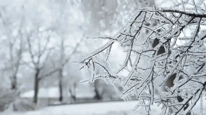 Дауылды ескерту жарияланды: 2 қаңтарда ауа райы қандай болады