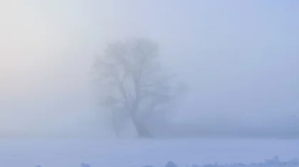 Тұман түсіп, боран соғады: 16 өңірде дауылды ескерту жарияланды