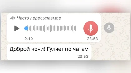 «Айыппұл аласыз»: полиция желіде тараған ақпаратқа жауап берді