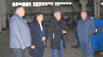 Мәжіліс депутаттары Жетісу өңіріндегі кәсіпорындардың жұмысымен танысты